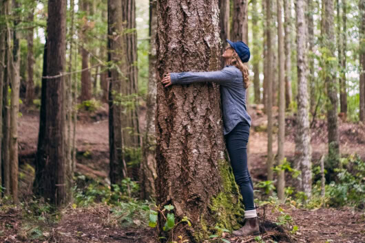 Woman hugging a Legacy sized Memorial Tree.