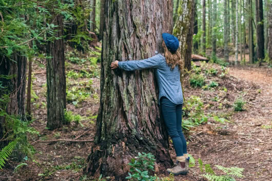 Woman hugging a Monument sized Memorial Tree in a Memorial Forest.