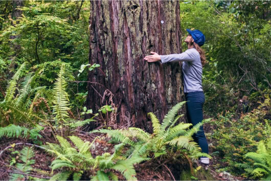Woman hugging a Landmark Memorial Tree in a Memorial Forest.
