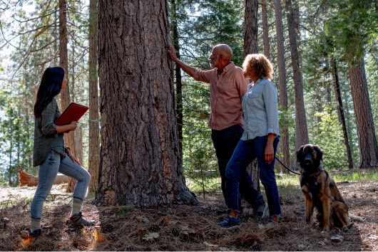 Husband and wife with their dog explore Memorial Tree options in a Memorial forest with a Guide.