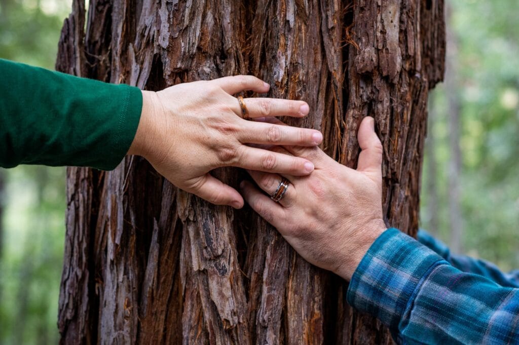 Two hands hold each other around a memorial tree