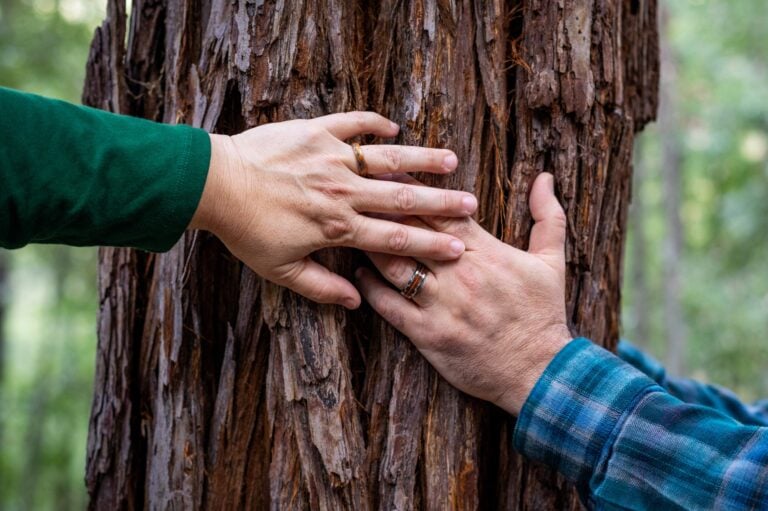 Two hands hold each other around a memorial tree