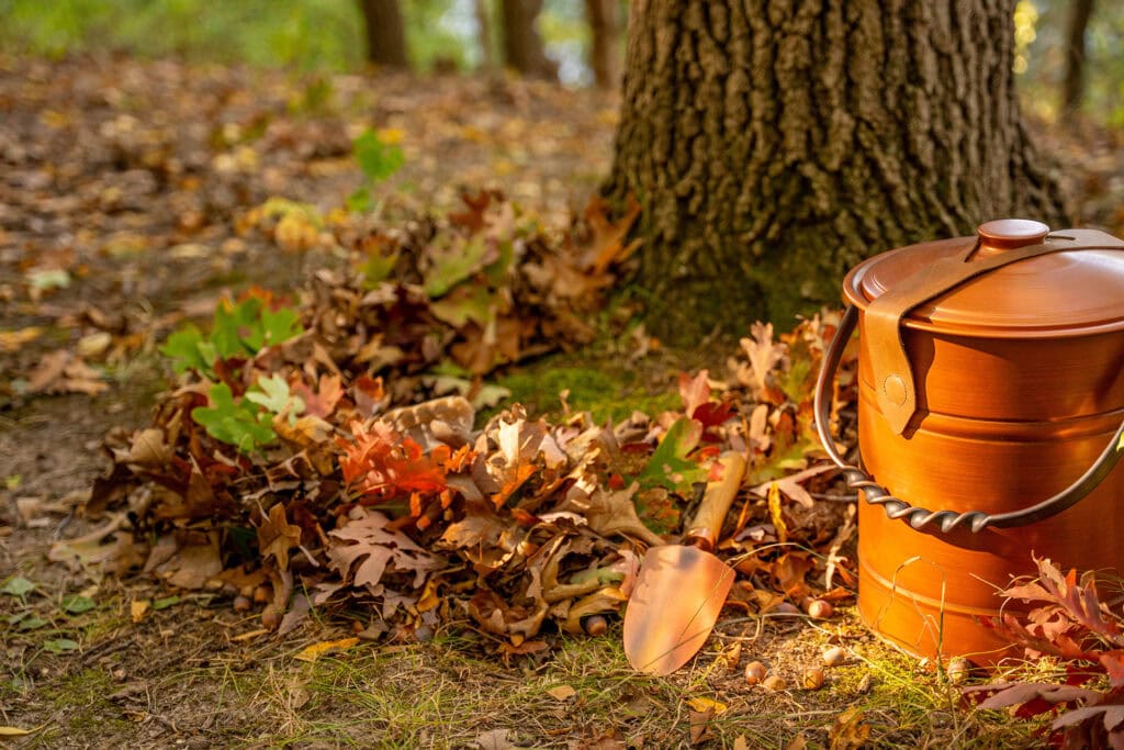 Memorial Tree prepared for a Forest Memorial ceremony with nest and vessel