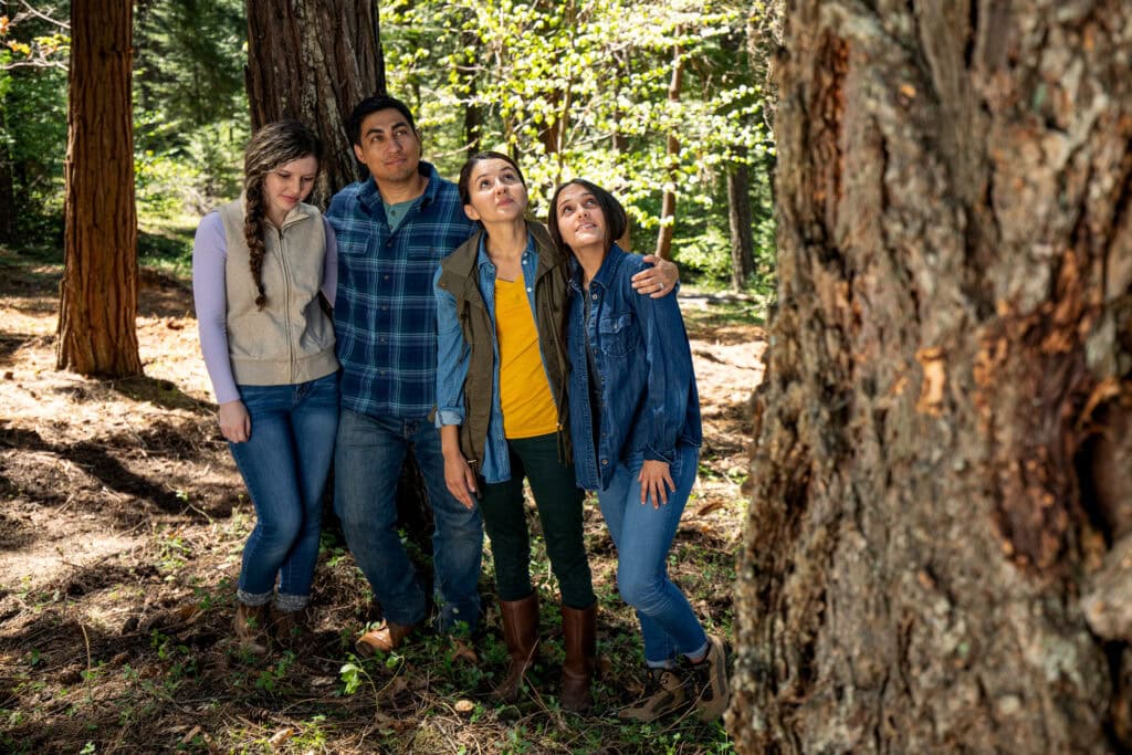 Group of four siblings standing in a Memorial Forest looking up into the canopy of a Memorial Tree