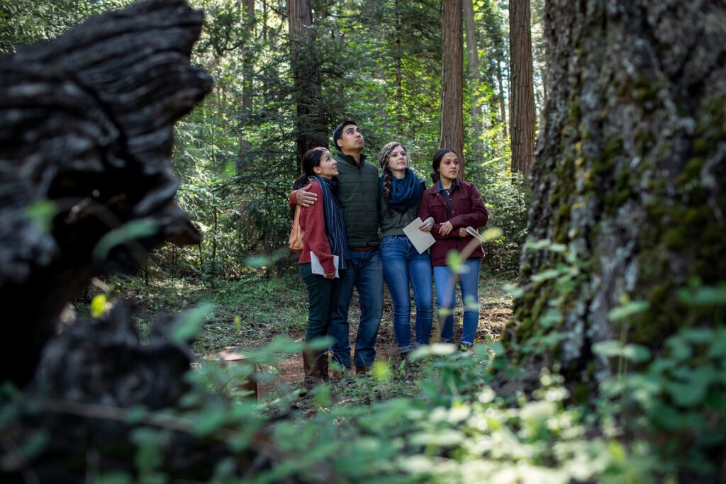 Family and friends gathered at the base of a Memorial Tree all looking up in the canopy