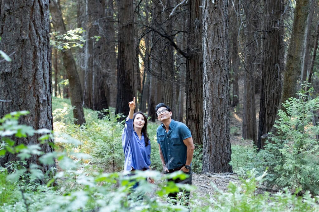 Woman pointing towards the canopy of a Memorial Tree in a Memorial Forest