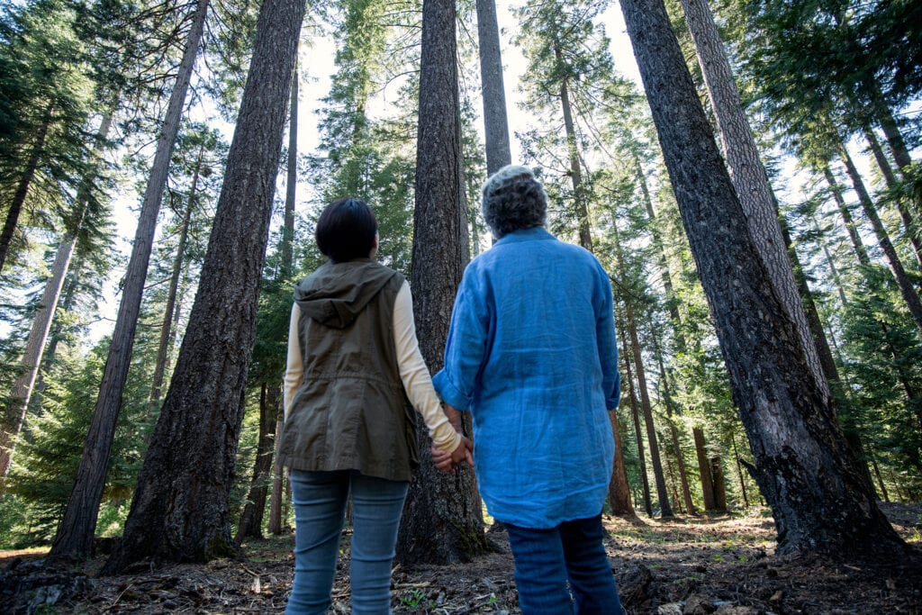 Grandmother and Granddaughter holding hands in a Memorial Forest looking up at the canopy of Memorial Trees