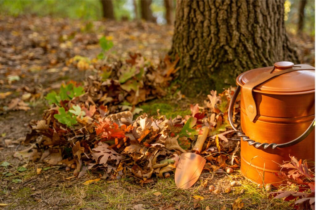 Memorial Tree prepared with a nest and vessel for a Forest Memorial
