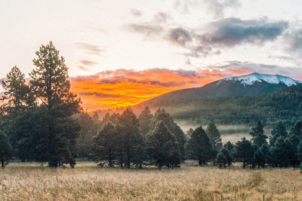 sun setting behind a mountain in a memorial forest