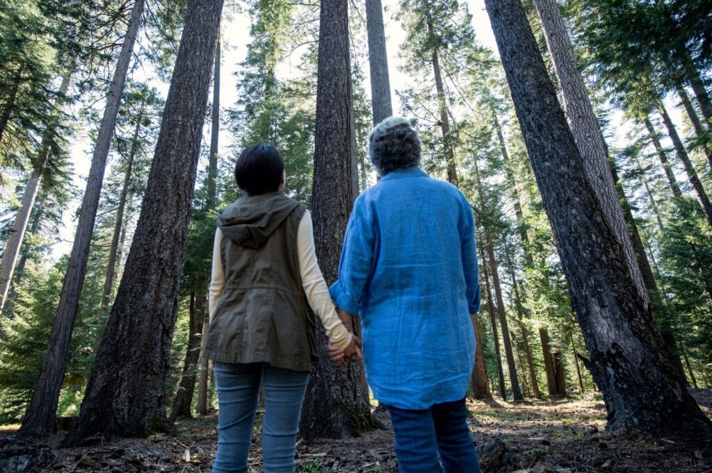People holding hands looking up at a towering memorial tree