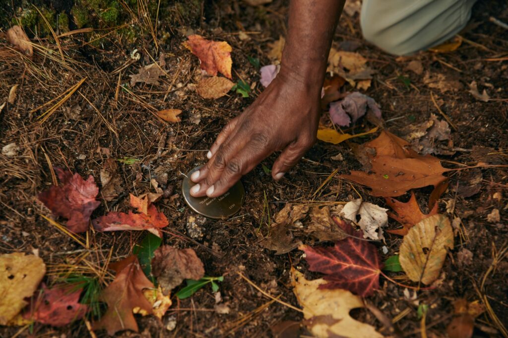 a hand rests on a memorial marker at the base of a memorial tree