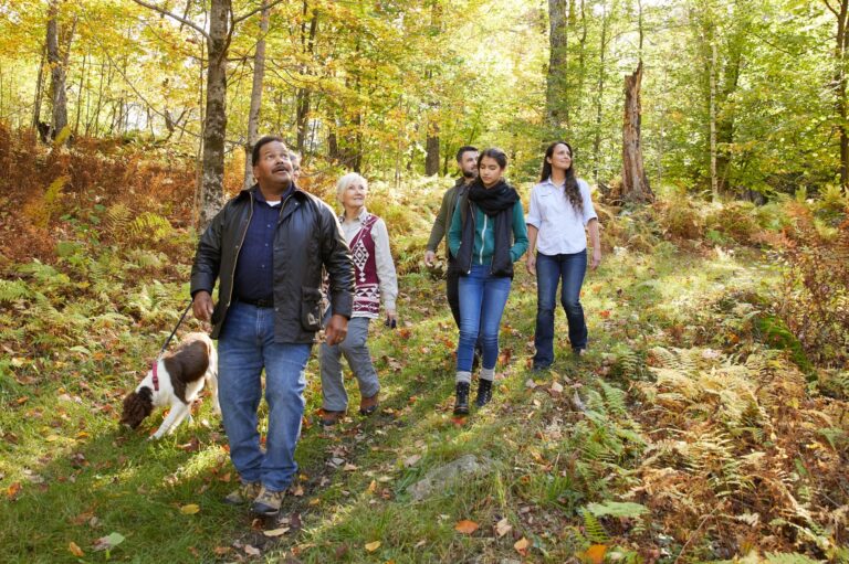 A family walks through a memorial forest