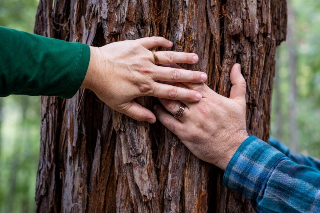 Two hands touching the trunk of a memorial tree