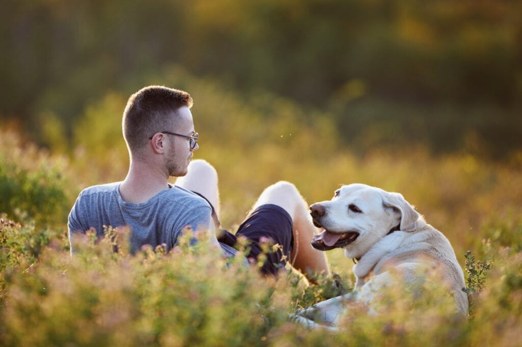 Man with dog lying on meadow at sunset