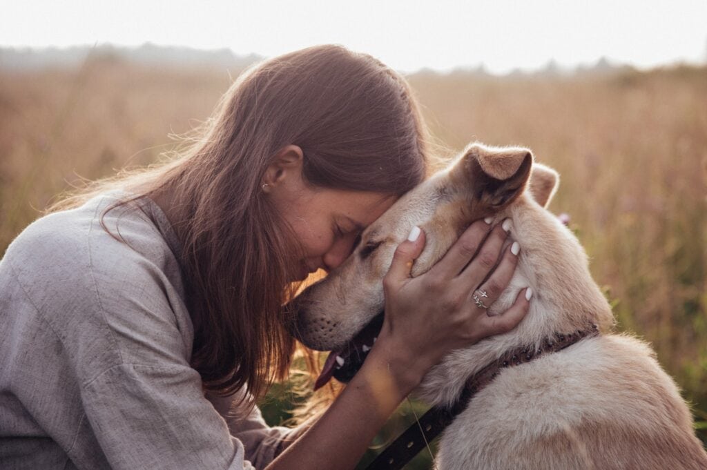 A woman and her dog in a field at sunset