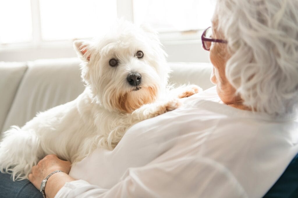 An elderly woman with her elderly pet