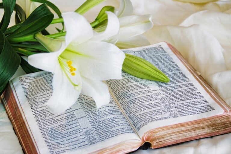 A bible with a peace lily on top