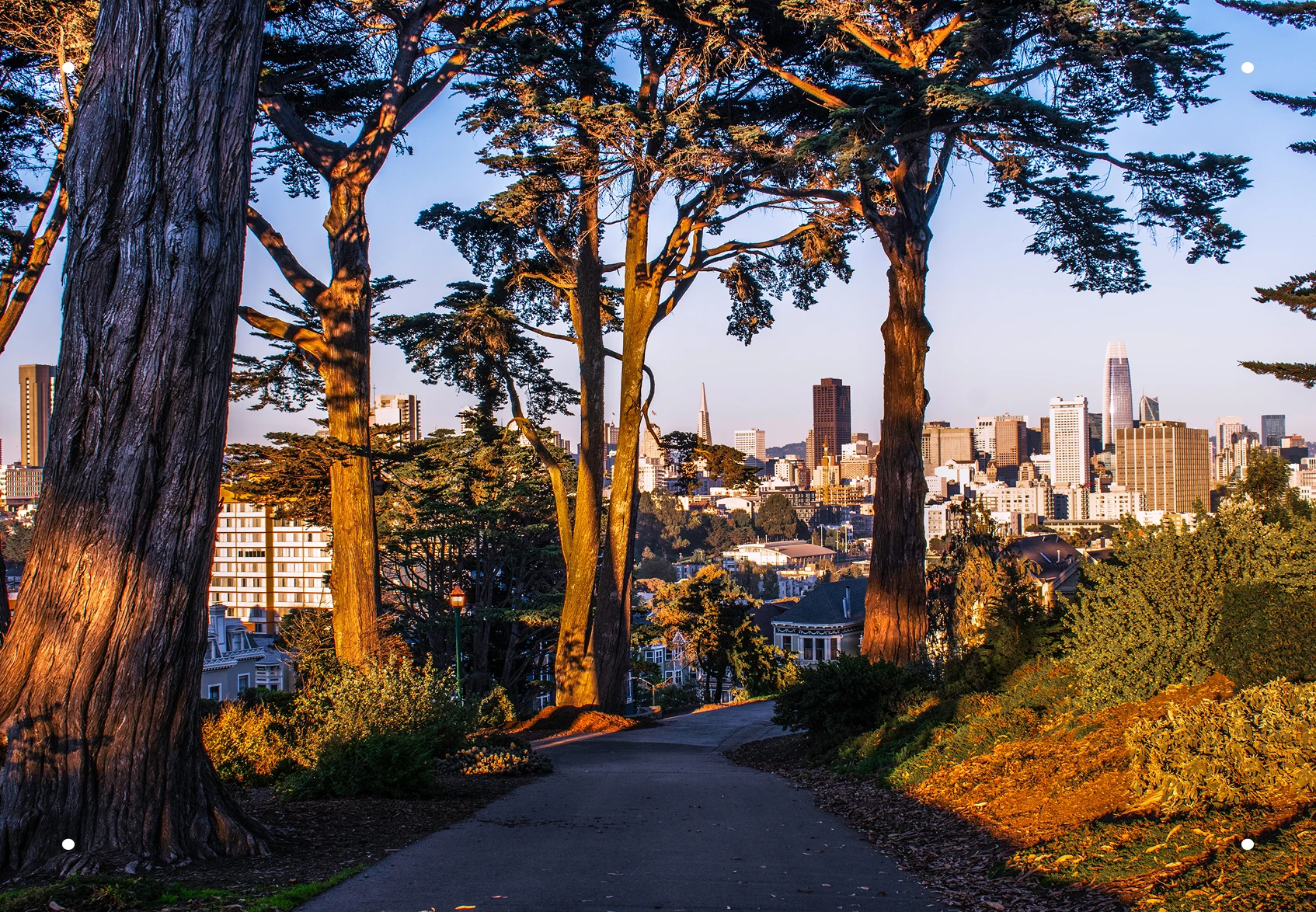 View of San Francisco from Alamo Square Park, symbolizing trusted local expertise in handling cremation permits and requirements.