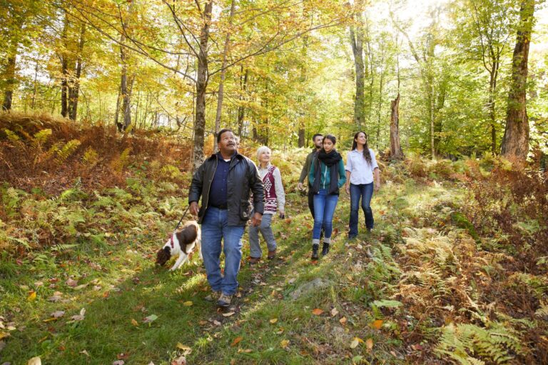 a family walks through the Berkshires Memorial Forest