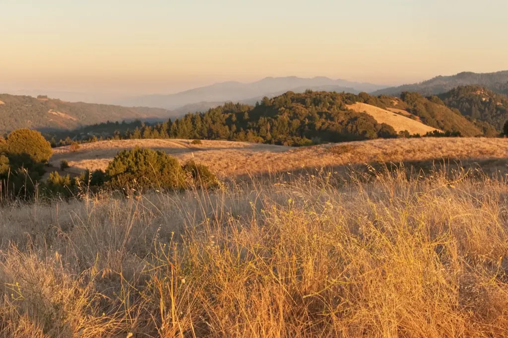 View from a grassy Novato hilltop at the rolling hills.