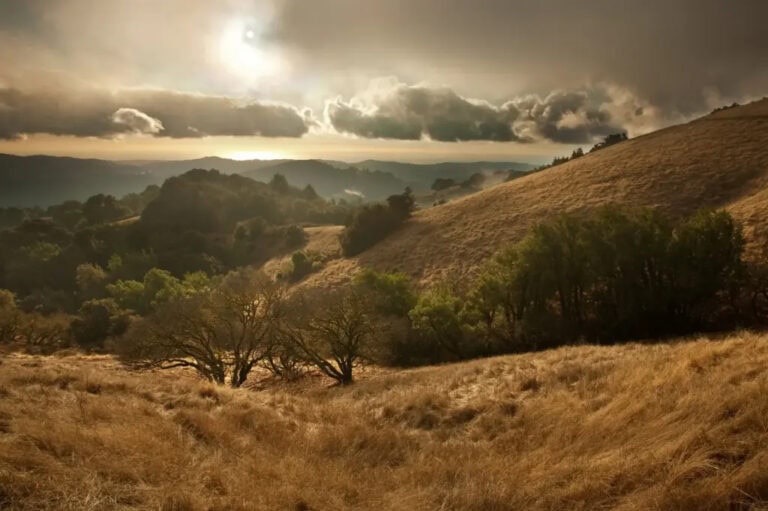 View from a grassy Novato hilltop dotted with trees with clouds in the sky.
