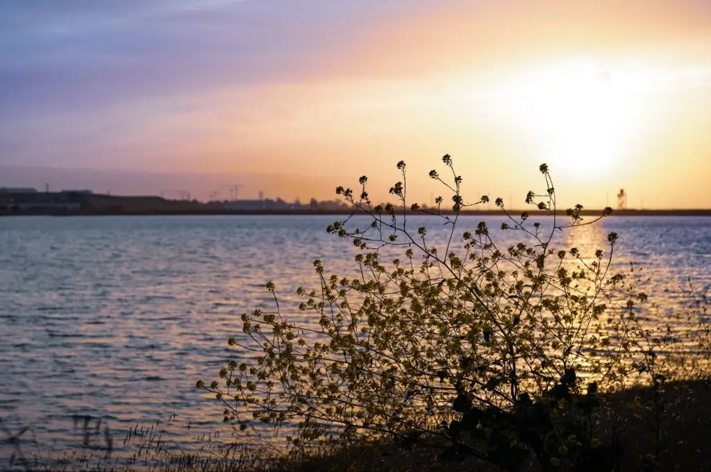 Sunset over calm water.