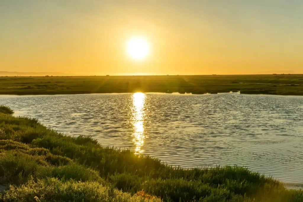 Sunset over calm water with green grassy hill in the foreground.