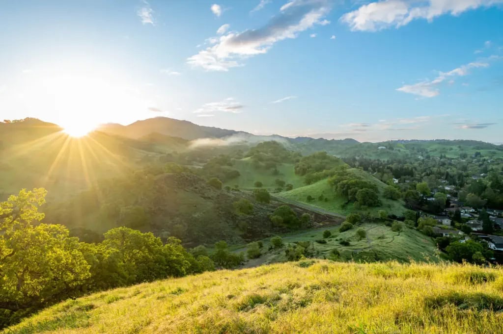 Beautiful view of Mount Diablo's rolling hills covered with green grass in springtime at sunset.