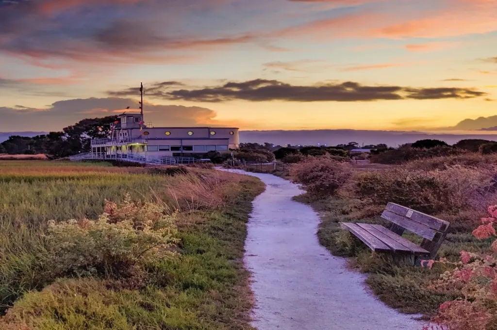 View of the San Francisco Bay at sunset from a path in the marsh.