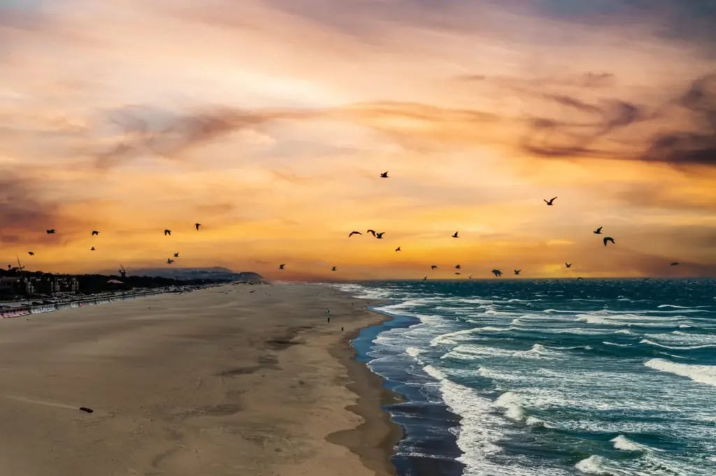 Sunsetting with seagulls over Ocean Beach in San Francisco