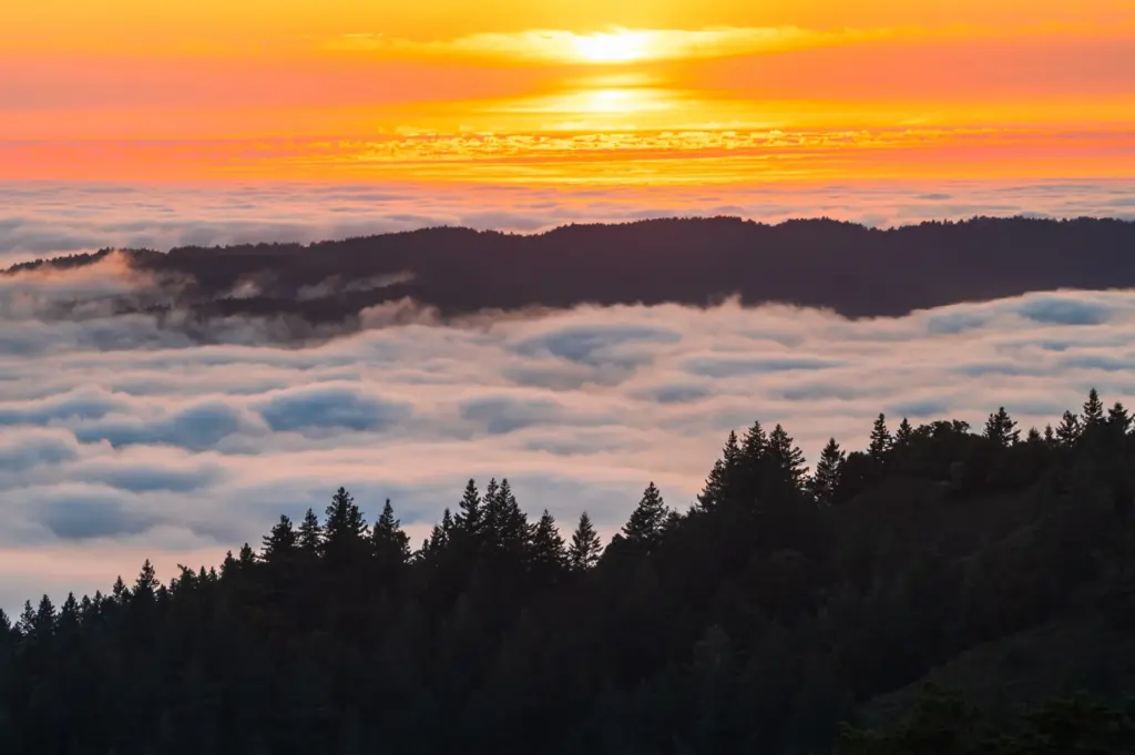 Hillside view of vibrant orange-red sunset sky at dusk with clouds blanketing the earth below.