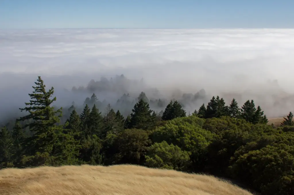 Hillside view of with clouds blanketing the earth below.