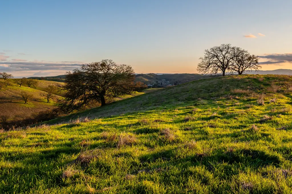 Beautiful view of Mount Diablo's rolling hills covered with green grass in springtime.