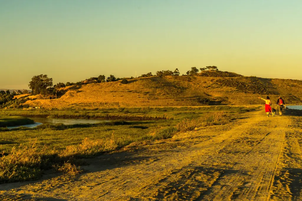 Couple walking with dog  through open space toward a tree-dotted hill in the distance.