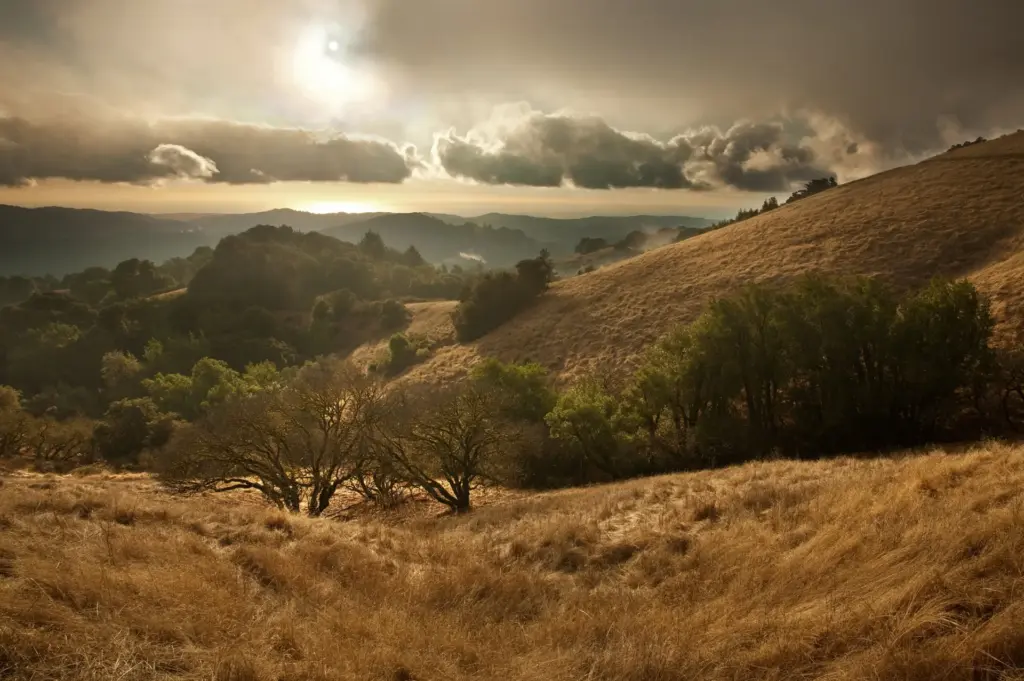 View from a grassy Novato hilltop dotted with trees with clouds in the sky.