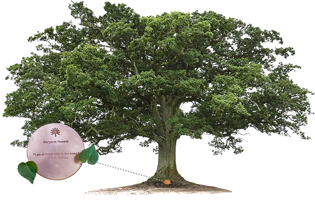 A silhouette of a private Memorial Tree with a close-up view of a customizable Memorial Marker.