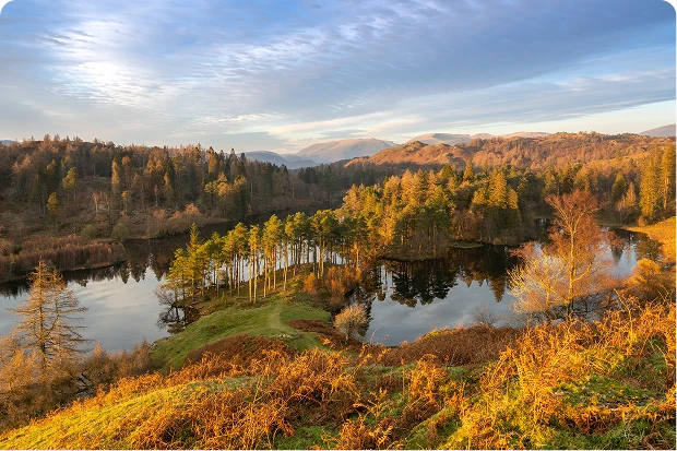 Scenic view of a beautiful lake dotted with trees, illuminated during golden hour.