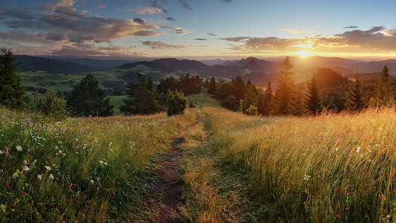 Scenic mountain landscape at sunset with a meadow path.