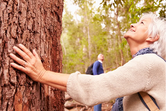 An older woman with white hair resting her hand on a tree trunk while looking upward with a delighted expression at the Memorial Tree.
