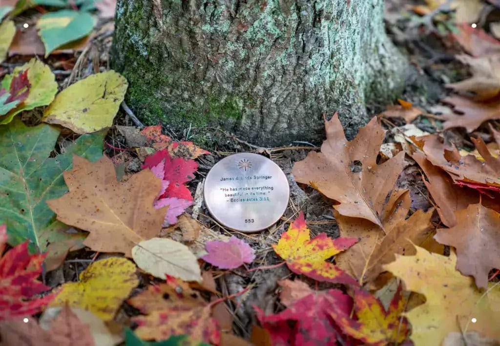 Memorial marker at the base of a tree surrounded by colorful fall leaves, symbolizing a lasting tribute that unites family and pets across generations.