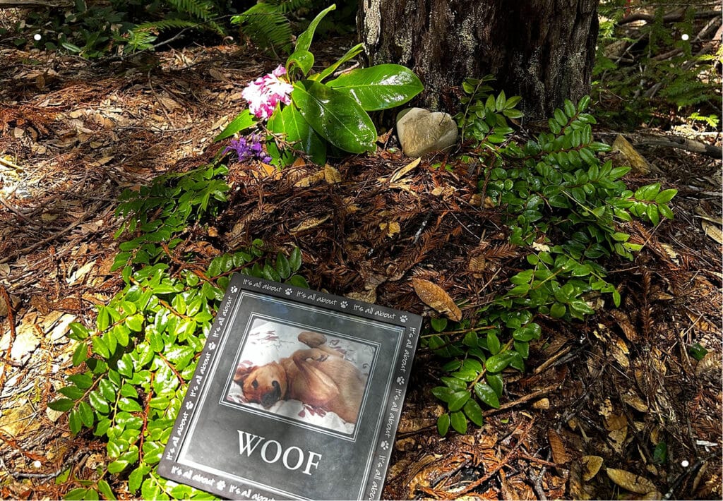 Close-up of a Pet Tribute featuring a nest at the base of a Memorial Tree where ashes were spread of beloved dog Louie and his picture.