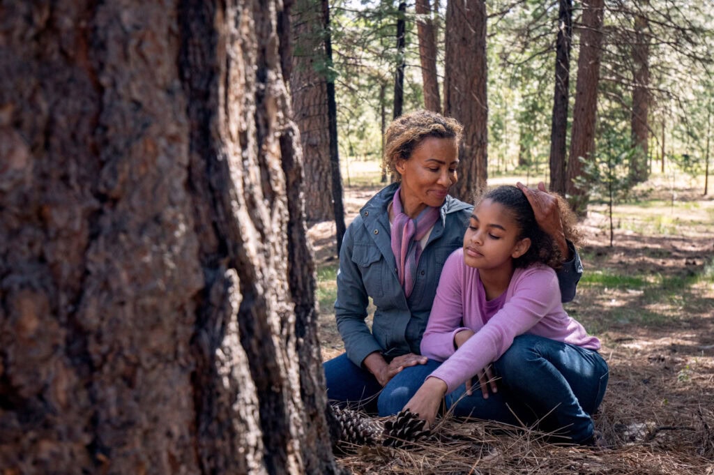 Mother and child sitting together on the forest floor surrounded by tall trees, examining pinecones while the mother embraces her child.