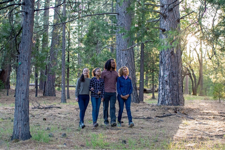 A family of four including a mother, father, and two teen daughters walk together through a sunlit forest, smiling and looking up at the trees.