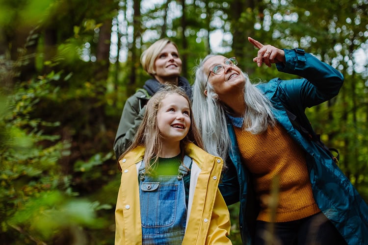 Three generations of women—grandmother, mother, and young granddaughter—gazing up at a Memorial Tree in the forest.