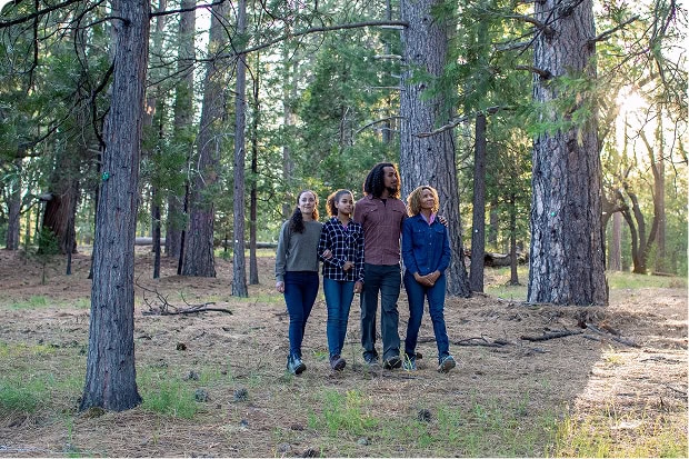 A family of four walks through a sunlit forest among tall trees.