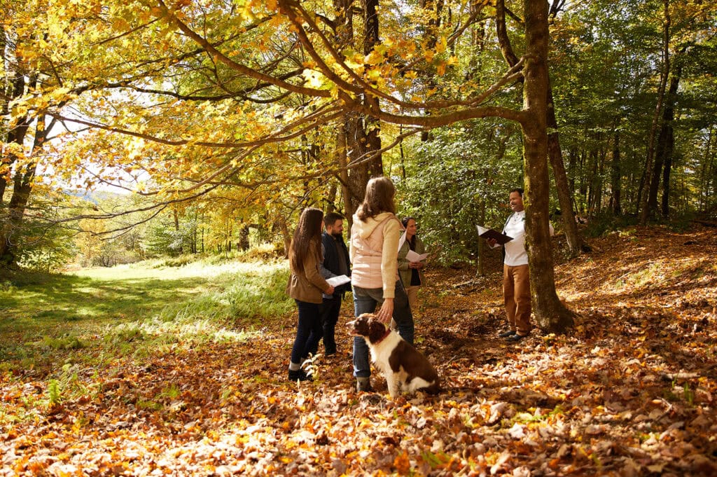 A small group of people and a dog gather in an autumn forest surrounded by fallen leaves.