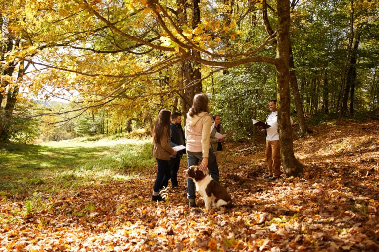 A small group of people and a dog gather in an autumn forest surrounded by fallen leaves.