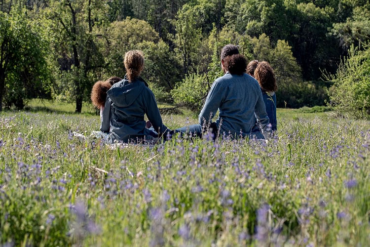 The back view of a family of four sitting in a field of wildflowers in the forest.